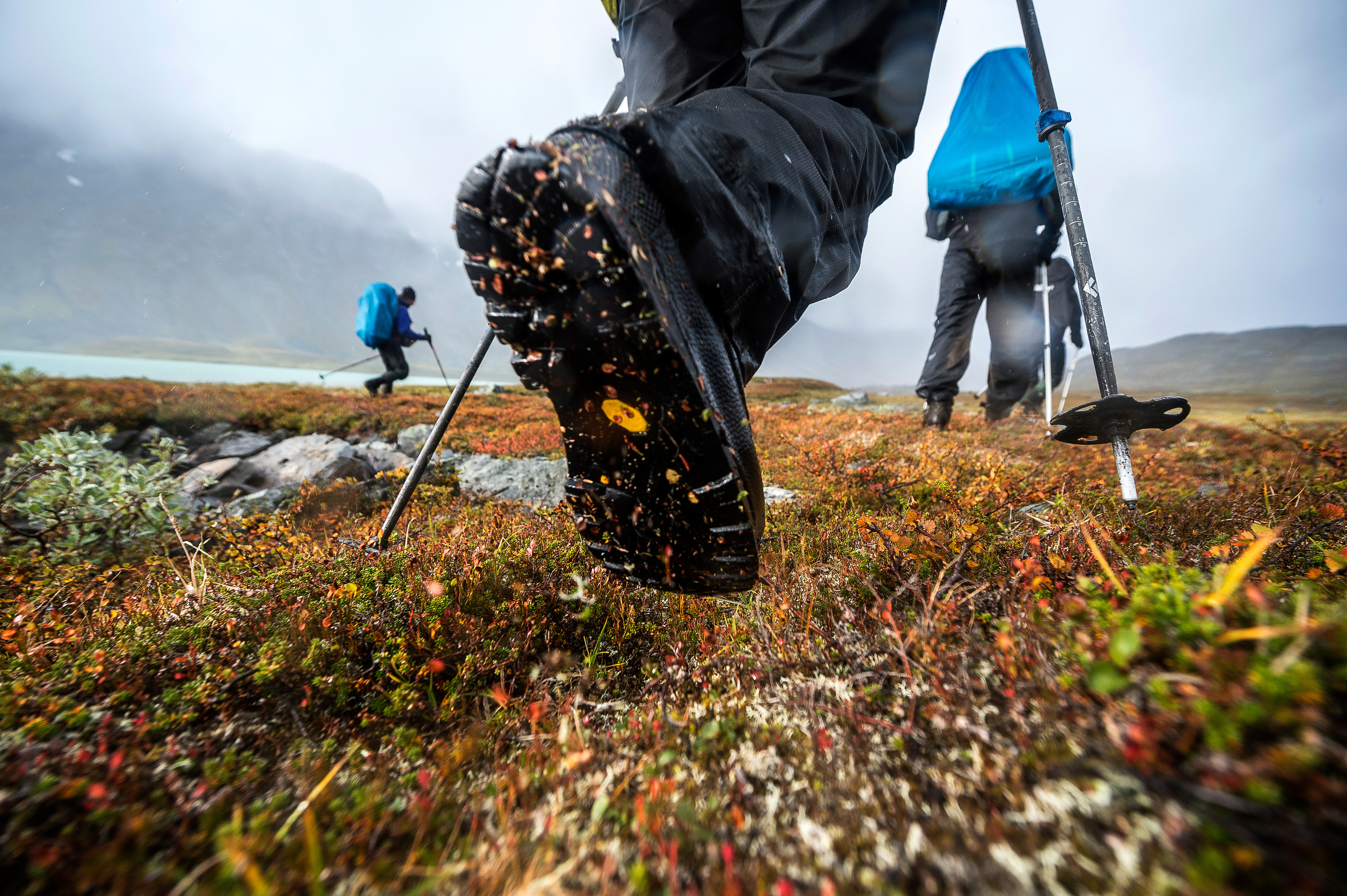Vandring Sarek nationalpark
