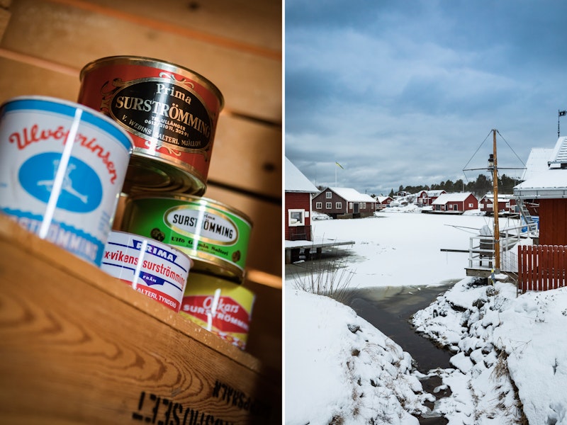 Skagsudde höga kusten