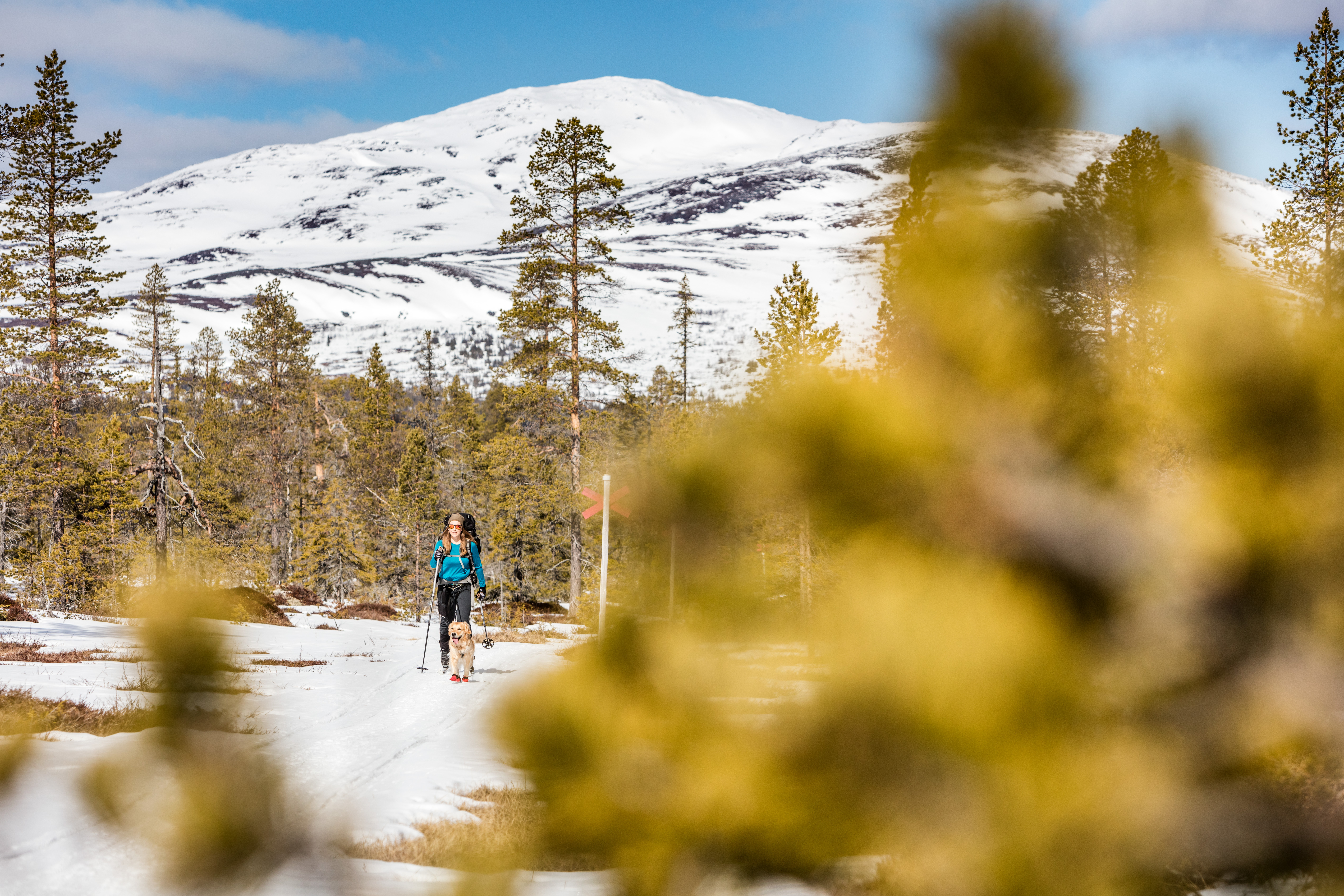 Anarisfjällen skidtur