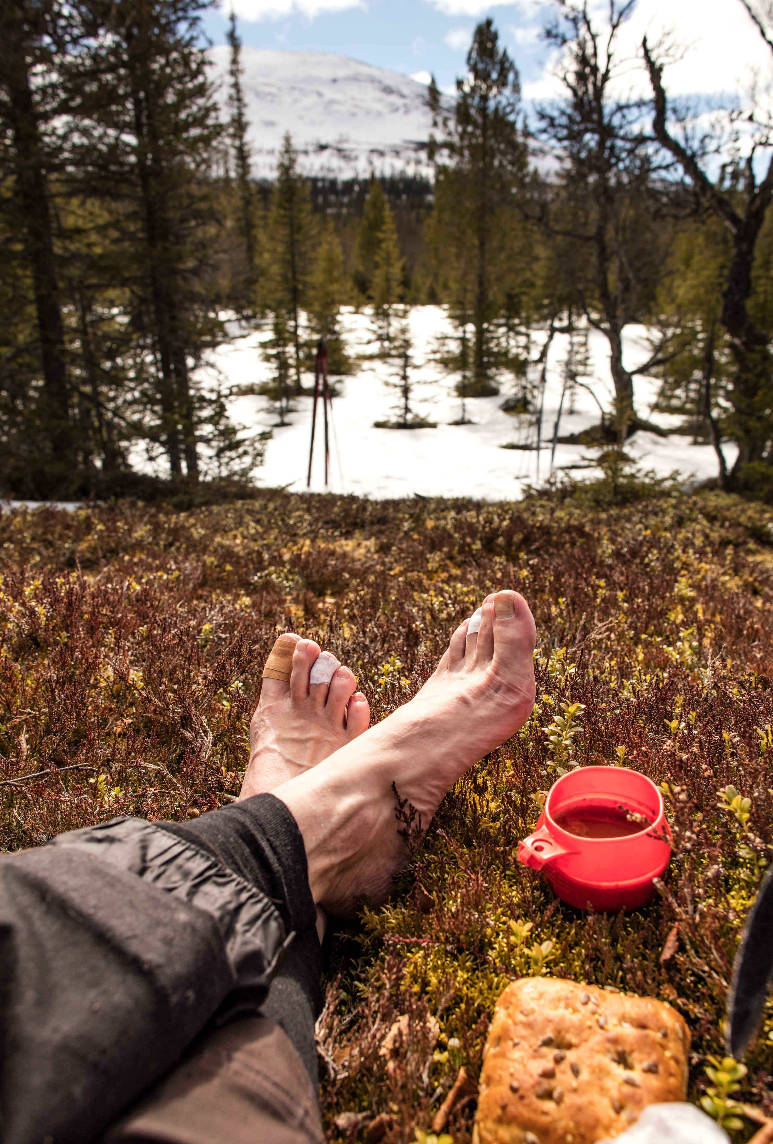 Anarisfjällen skidåkning
