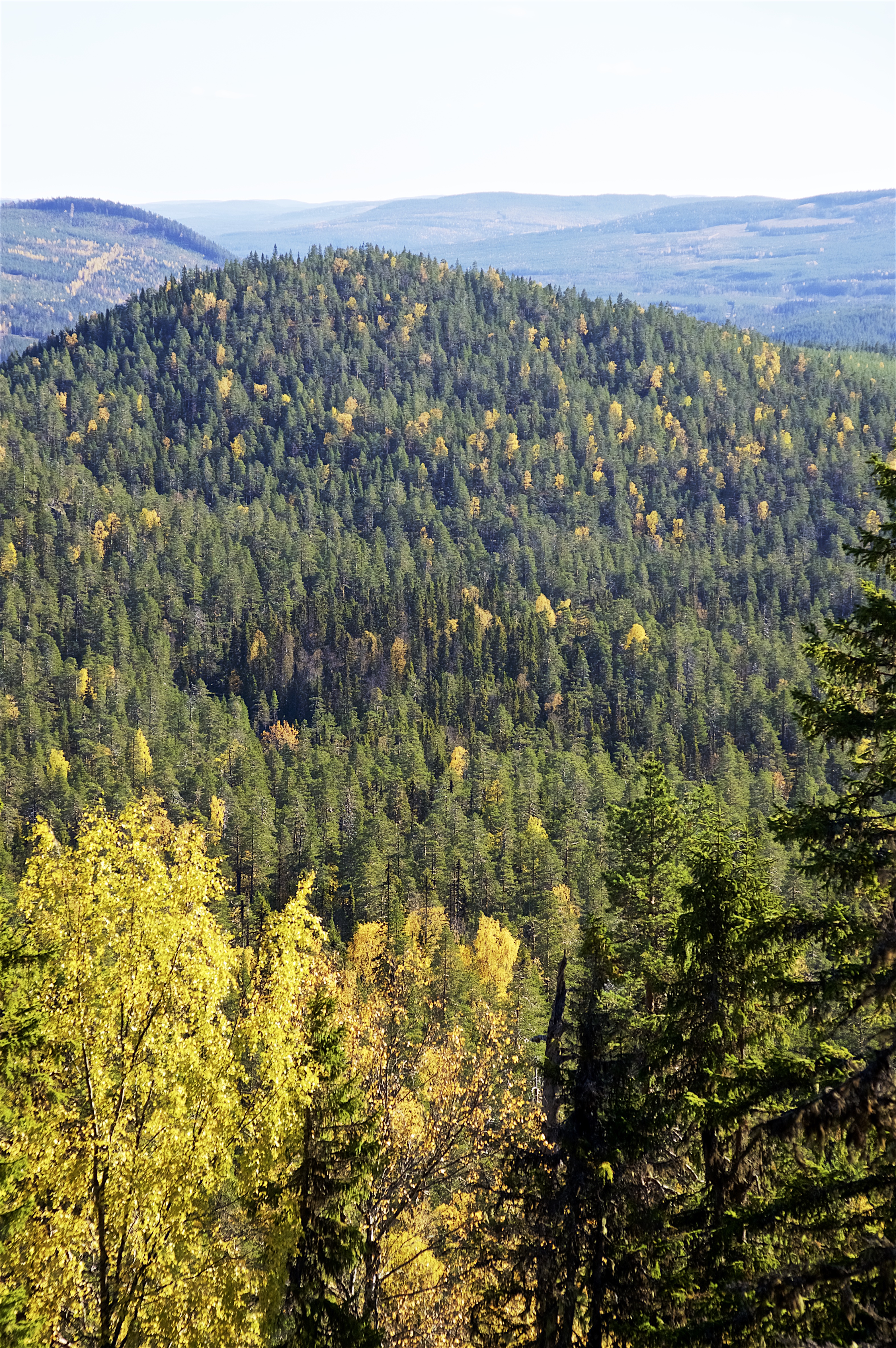 Vandring Björnlandets nationalpark