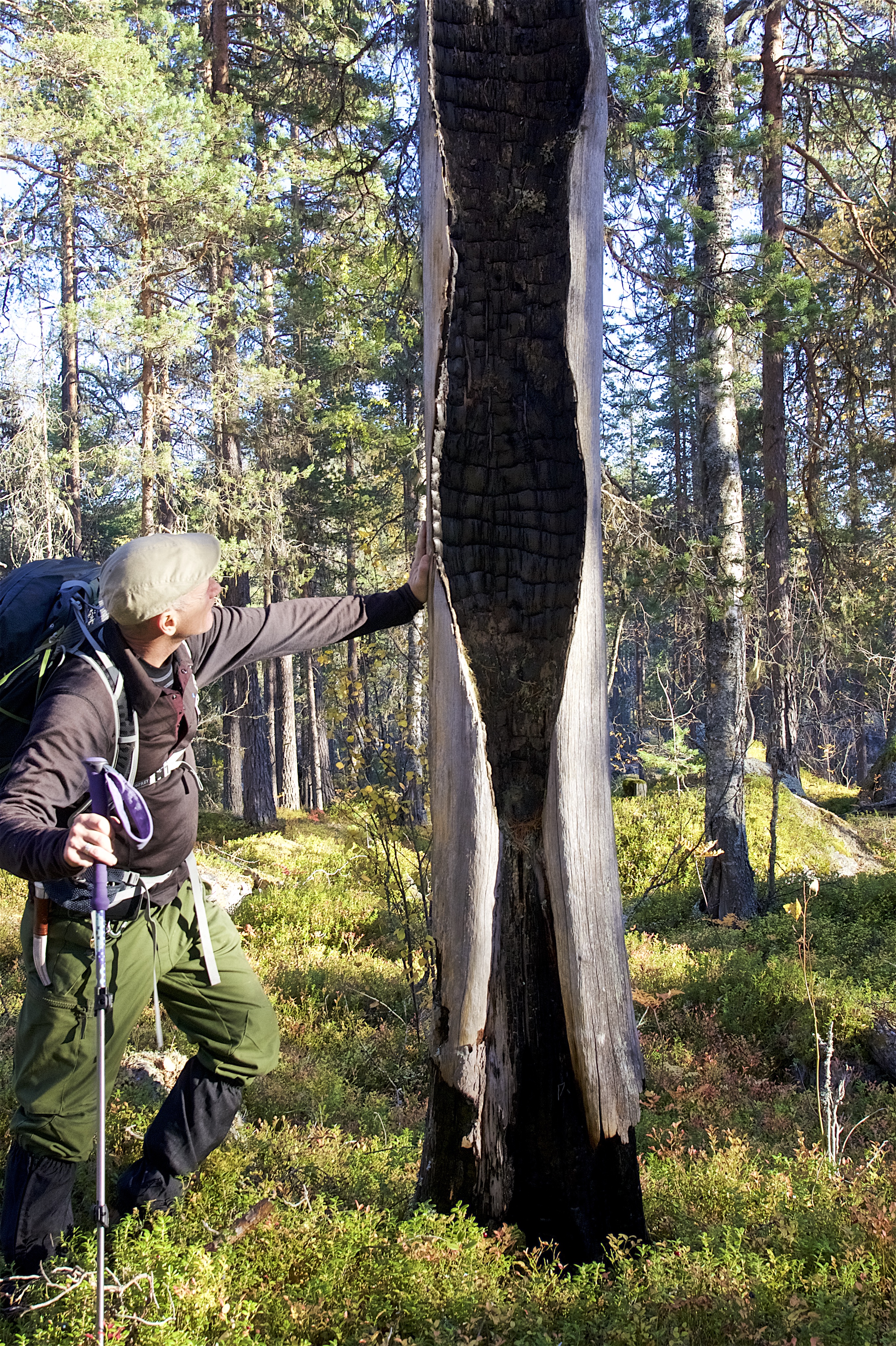 Vanring Björnlandets nationalpark