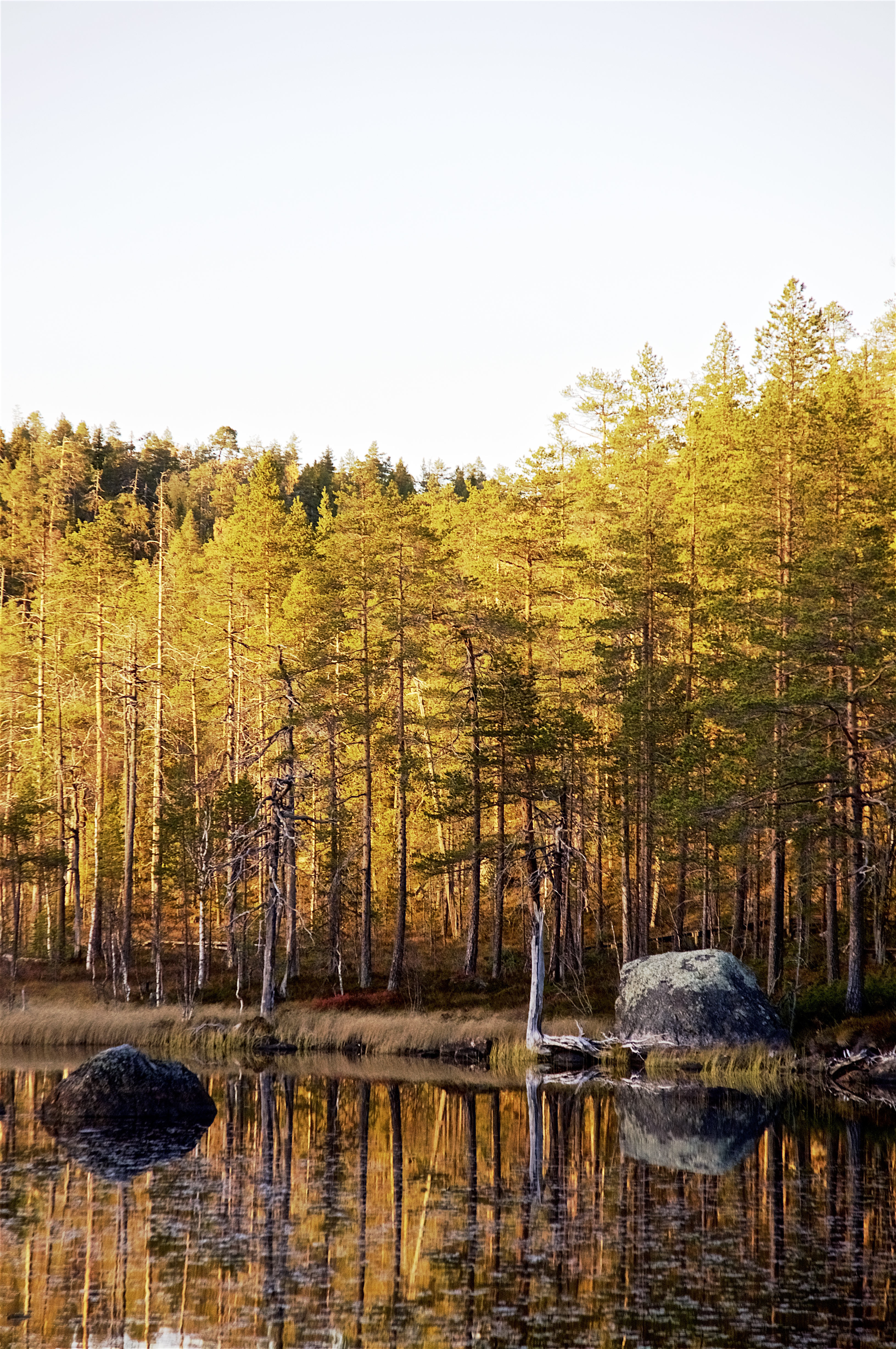 Vandring Björnlandets nationalpark