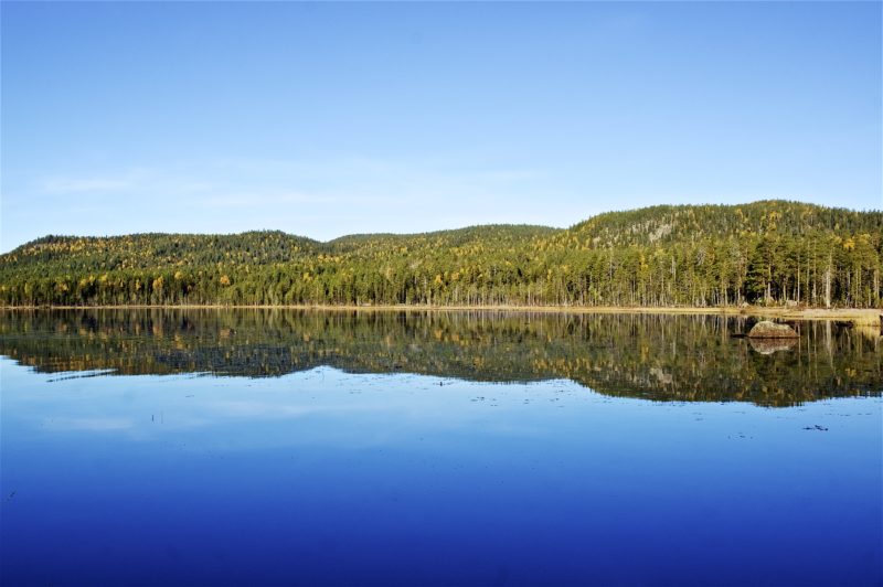 Vandring Björnlandets nationalpark 