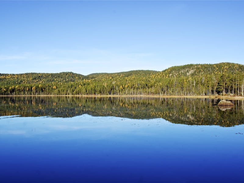 Vandring Björnlandets nationalpark