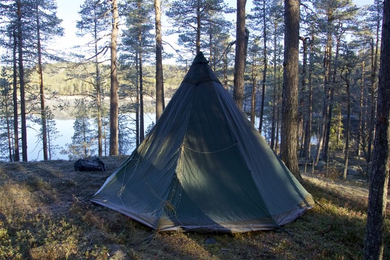 En tipi i en gles tallskog i Björnlandets nationalpark