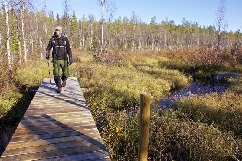En man i keps, svart anorak och gröna byxor vandrar med en stav i handen över en träbro i Björnlandets nationalpark.