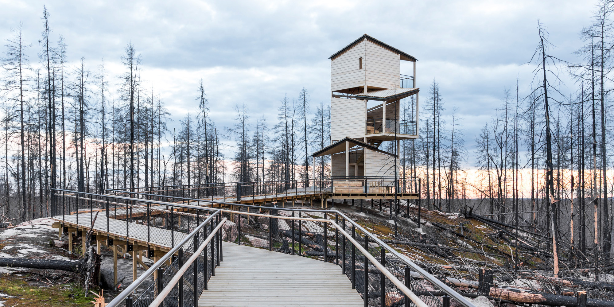 Grävlingsberget Hälleskogsbrännan torn