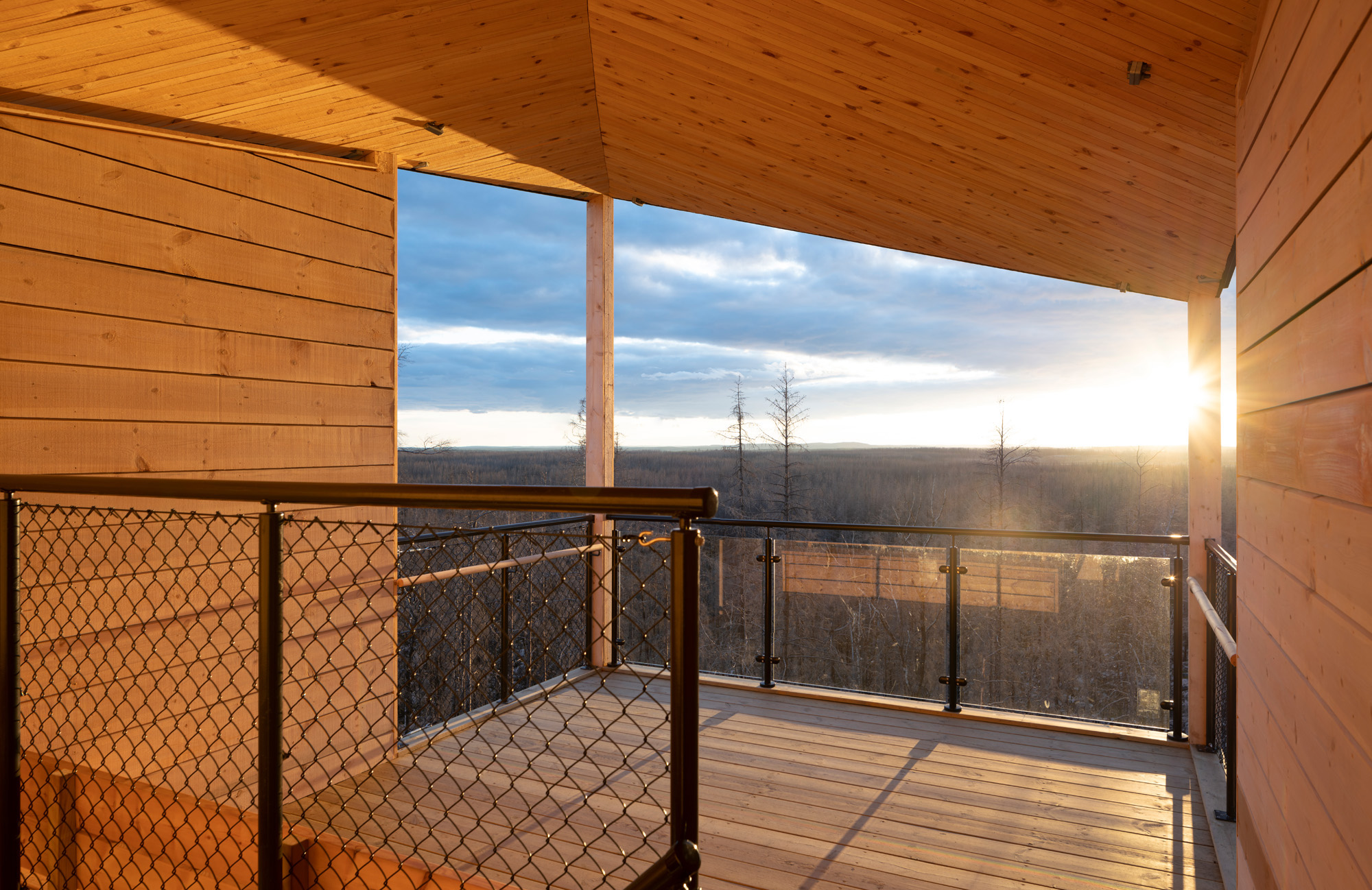 Grävlingsberget Hälleskogsbrännan torn