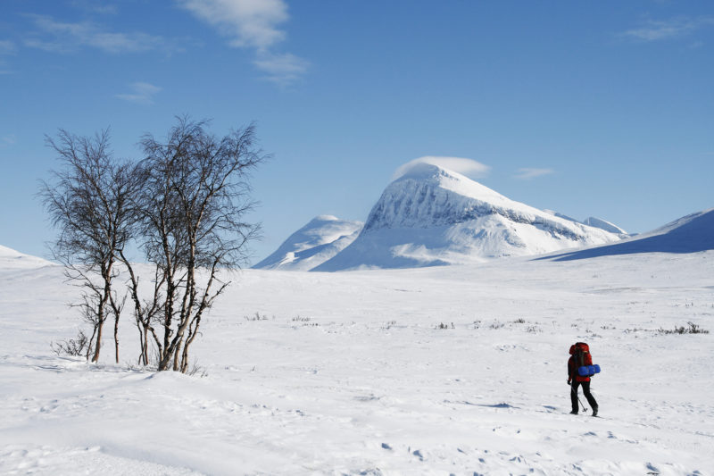 Vinterns bästa skidäventyr
