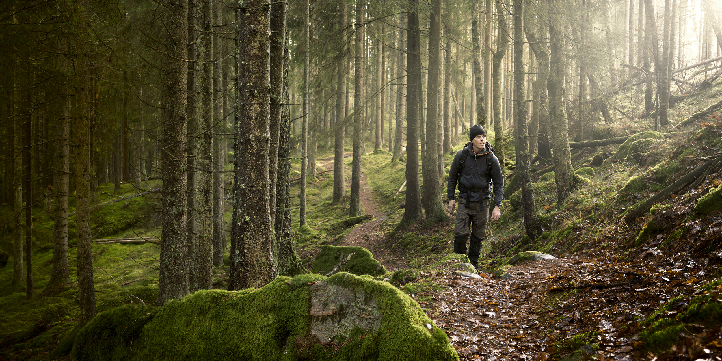Sveriges bästa vandringsleder