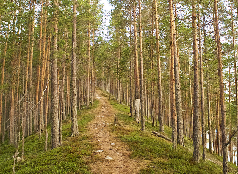 Sveriges 10 bästa vandringar 