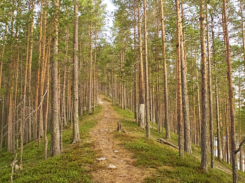 Sveriges 10 bästa vandringar 