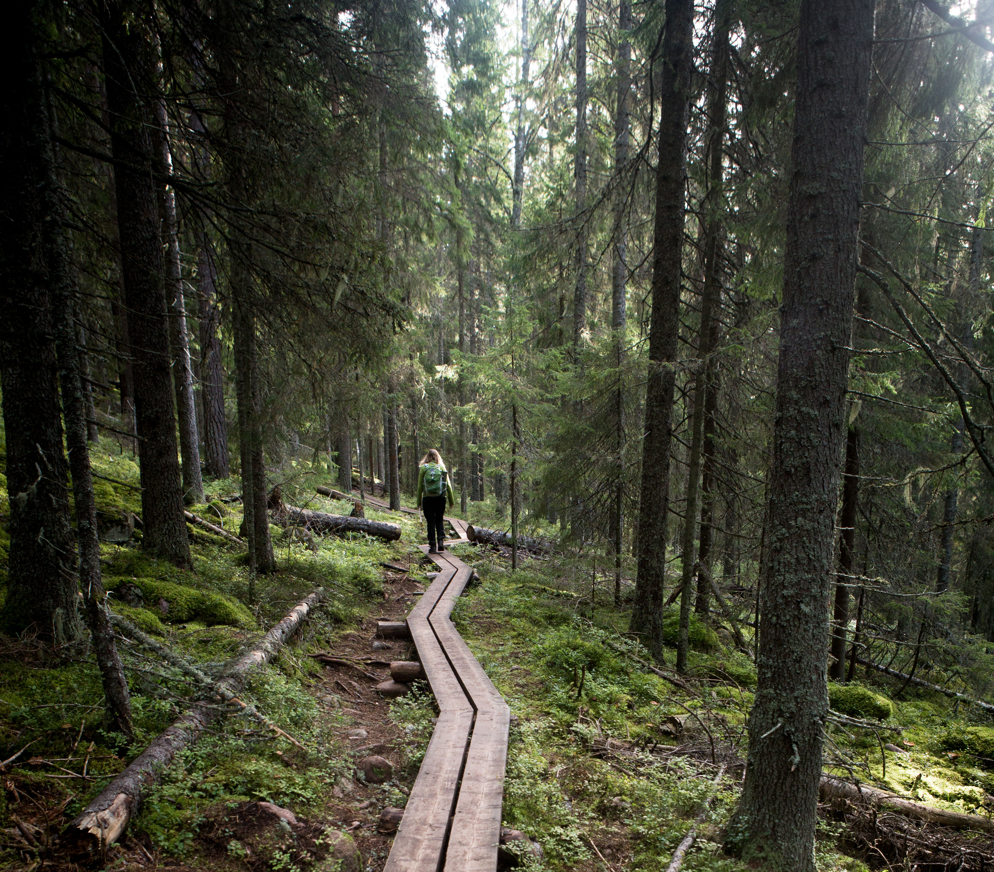 Vandring Höga Kusten Världsarv