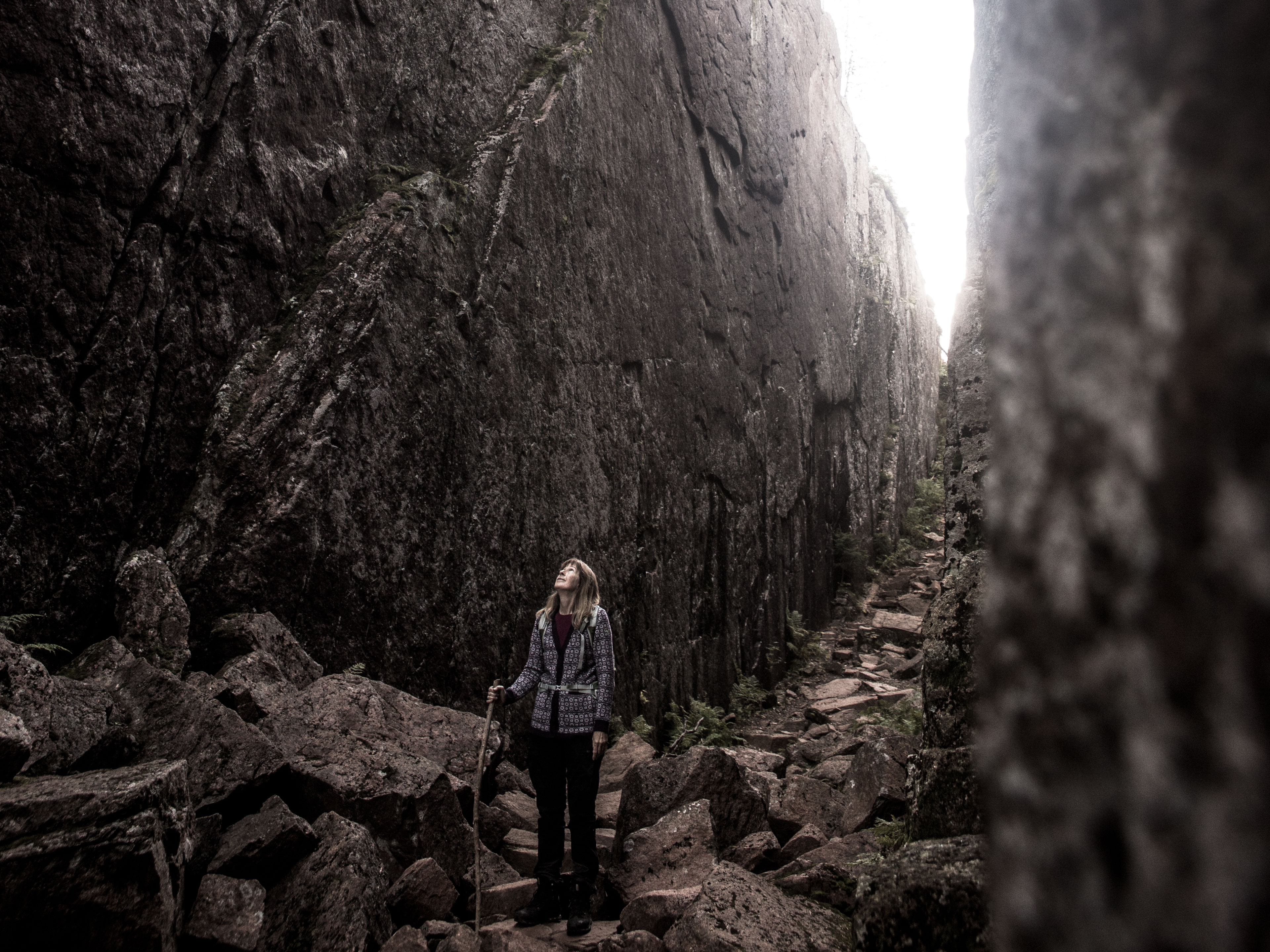 Vandring Höga Kusten Världsarv