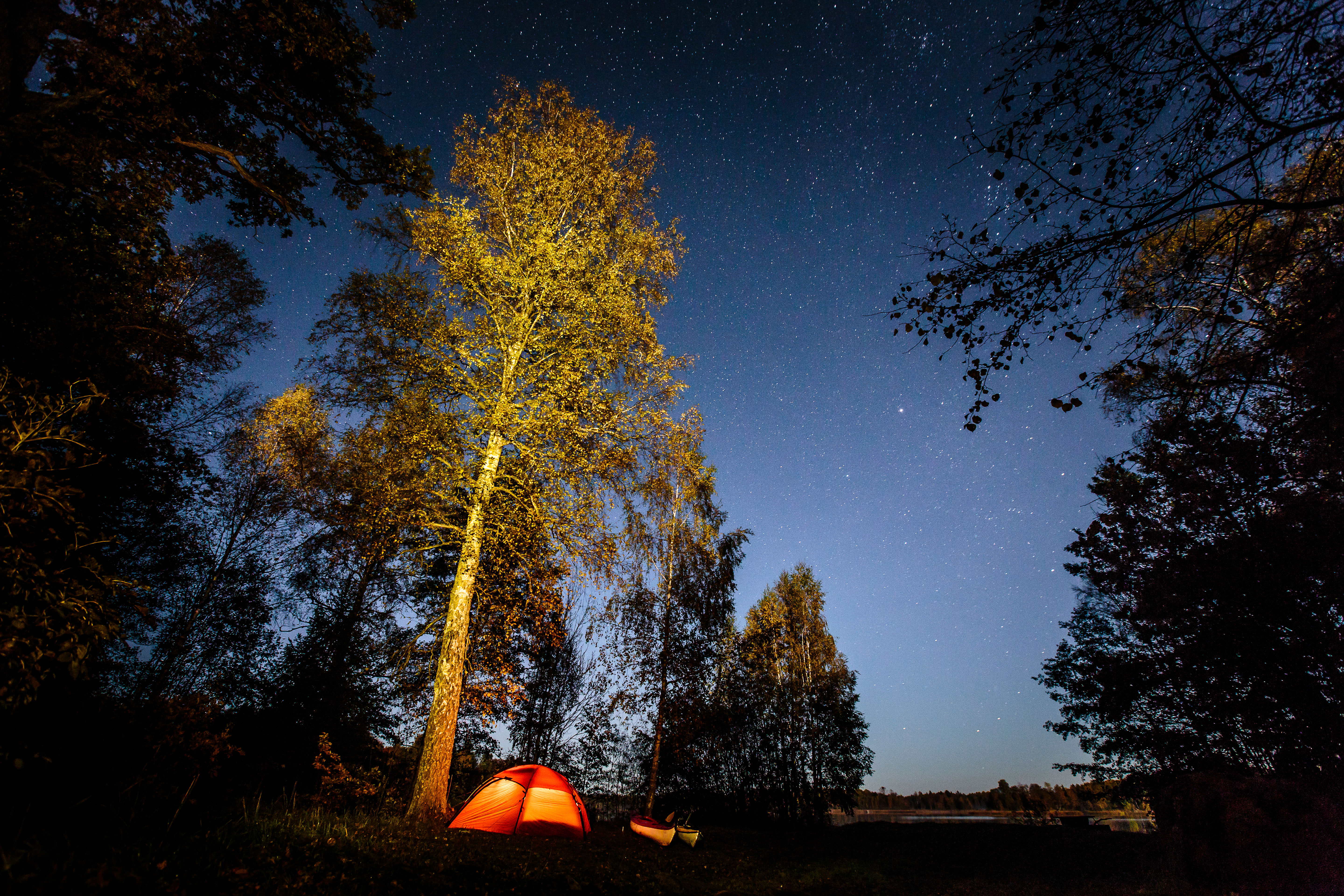 Mörker tält i skogen