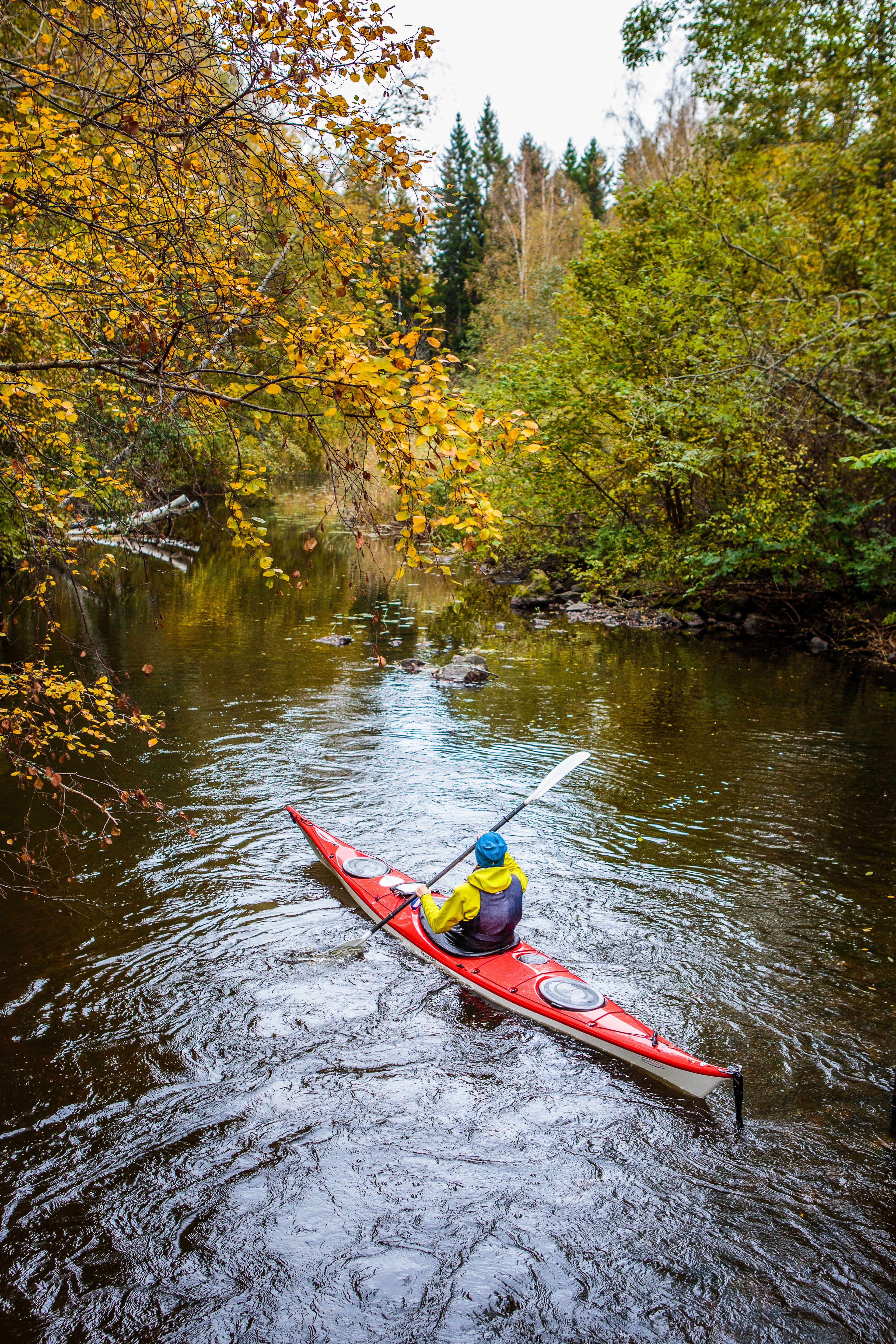 Kvinna i kajak i vattnet