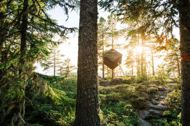 Vindskydd i form av en kub som ser ut att hänga i ett träd i skogen.