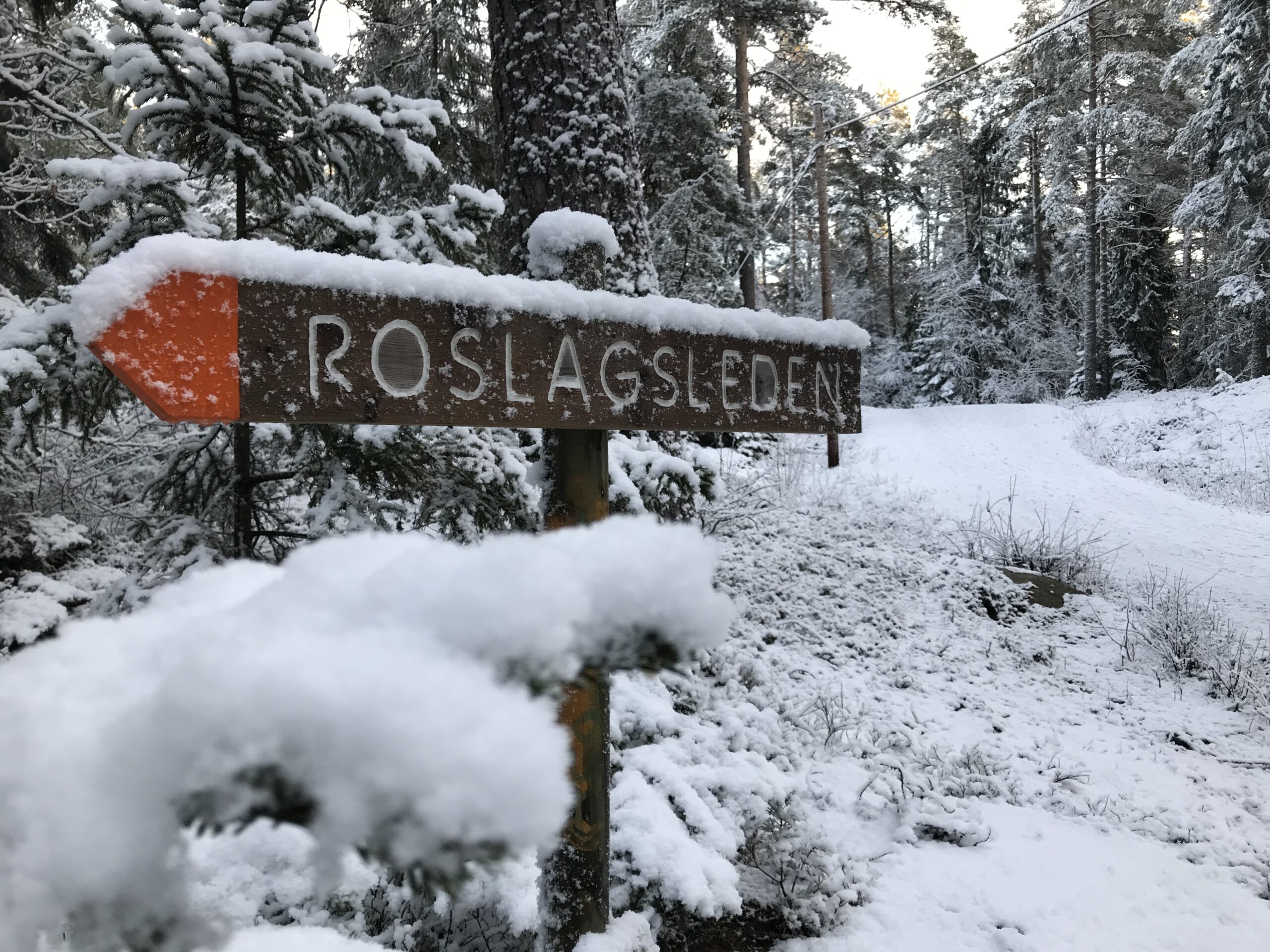 Skylt med orangepil i snöig skog. Visar vägen för den som ska vintervandra.