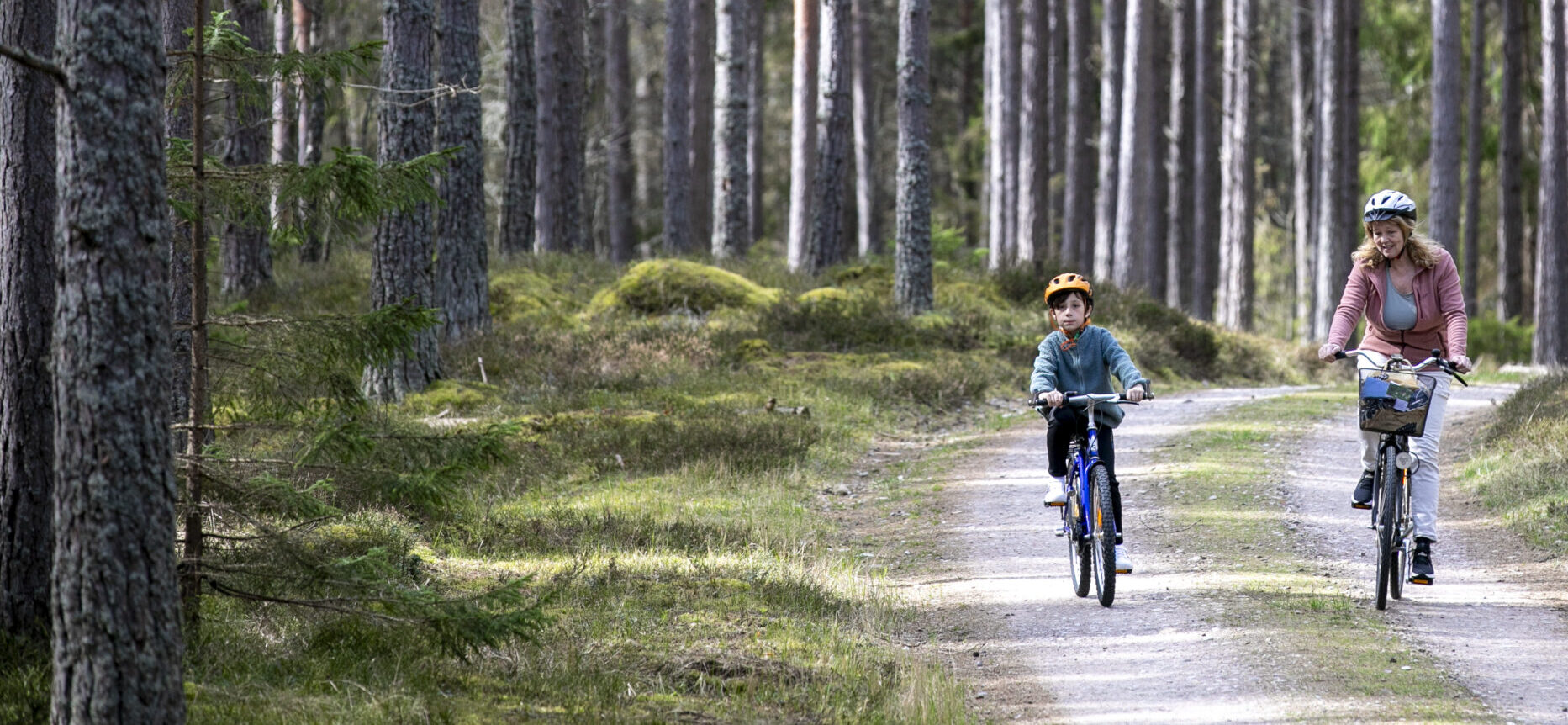 Pojke och äldre kvinna på en stig omgiven av tallar på Öland i april