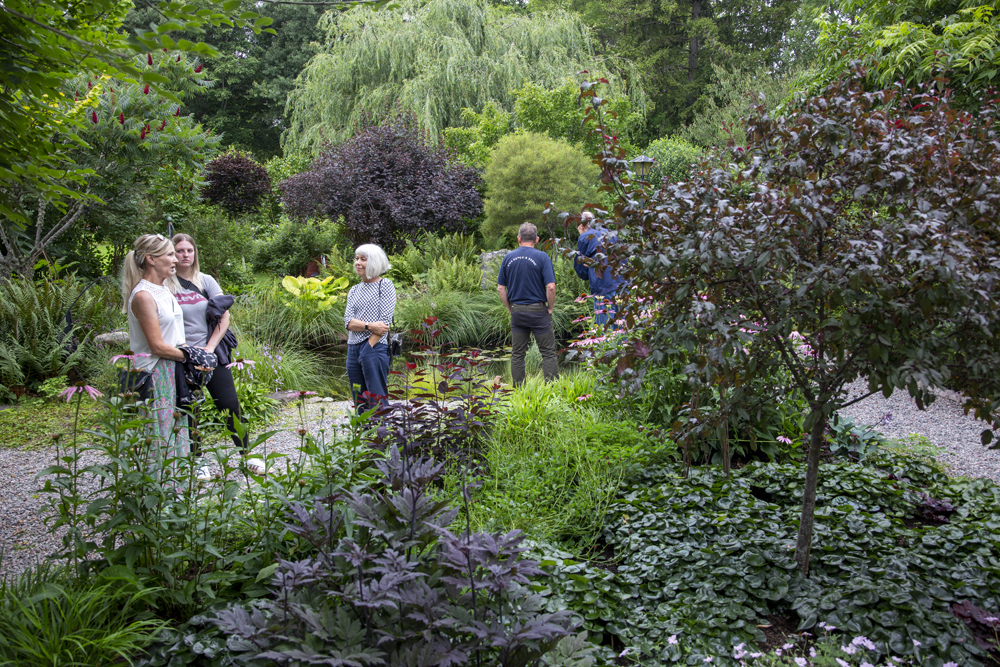 Personer i en lummig trädgård öppen under trädgårdstrippen