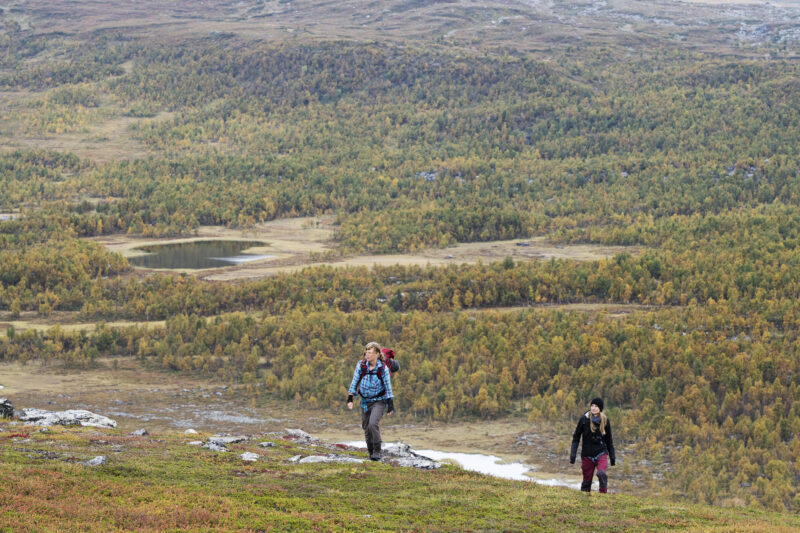 Två vandrare på väg uppför ett fjäll i Pieljekaise nationalpark.