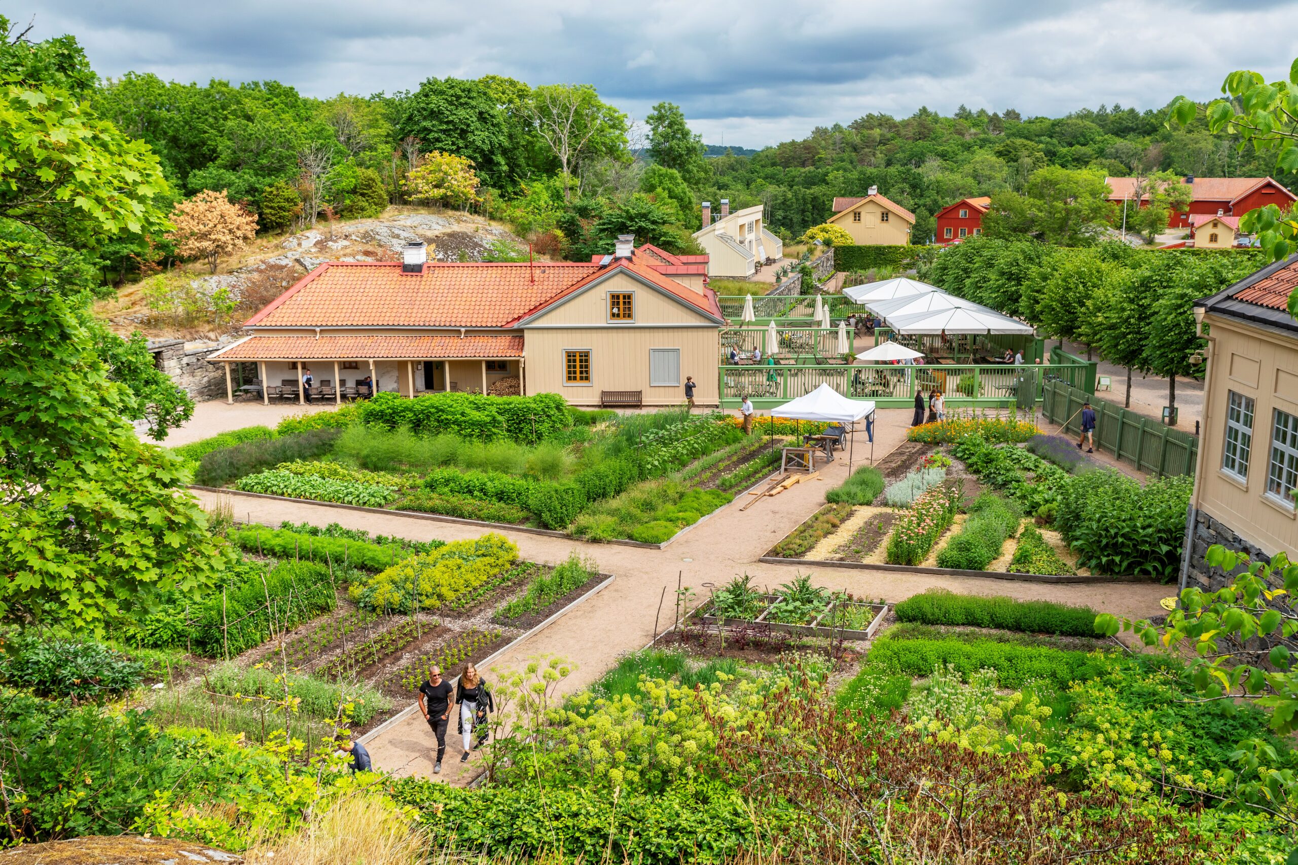 Översiktsbild över en trädgårdsodling vid Gunnebo slott.