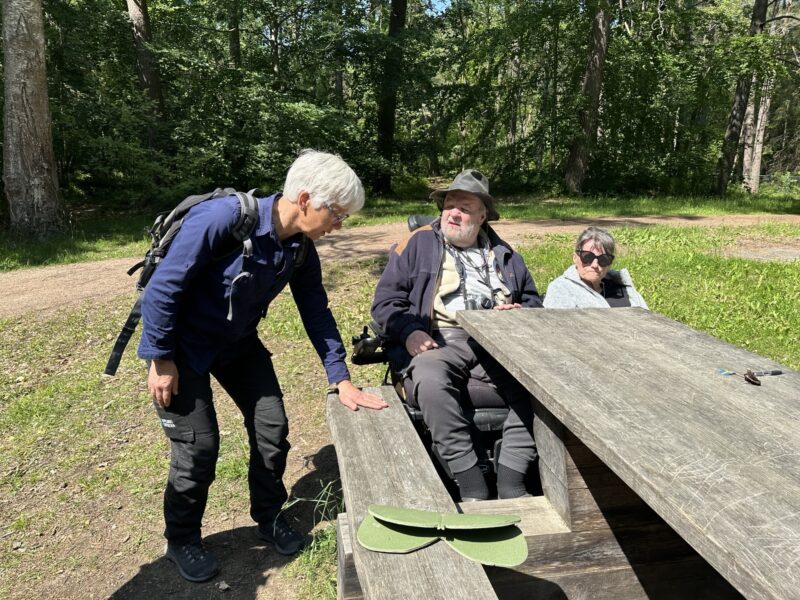 En stående kvinna, en man och en kvinna i rullstol samlas vid ett fikabord vid en rastplats. 