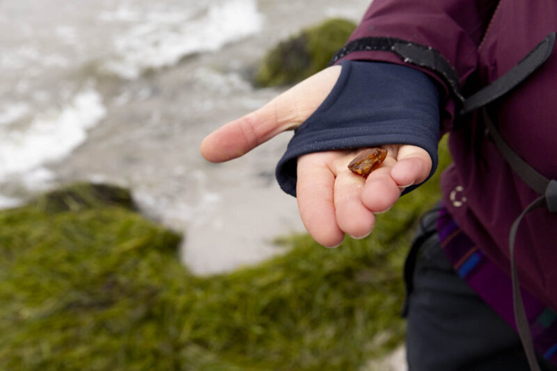 Närbild på en hand som håller i en liten bärnsten.