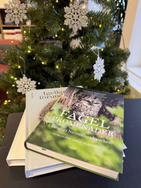 bokhög med pyntat julgran bakom