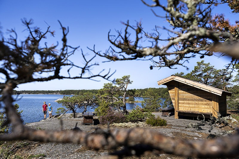 Vindksydd på klippa på Finnhamn i Stockholms skärgård