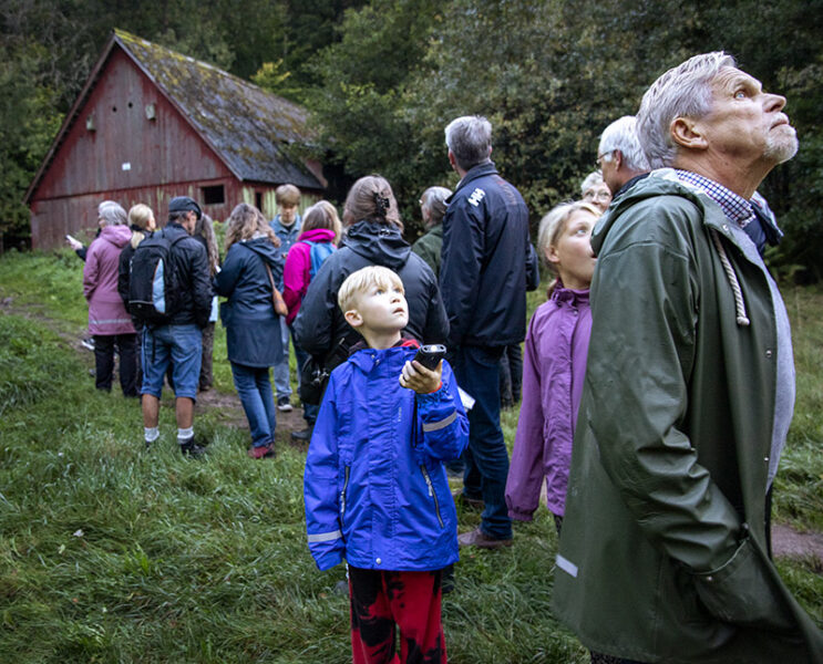 Pojke i blå regnjacka och man i grön regnjacka lyssnar efter fladdermöss på fladdermussafari.