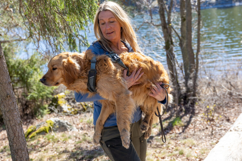 Kvinna ska vandra med hund och bär den i sin famn.