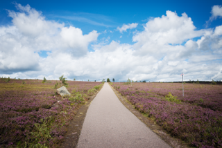 Tillgänglighetsanpassad väg upp på kalfjället i Sälen