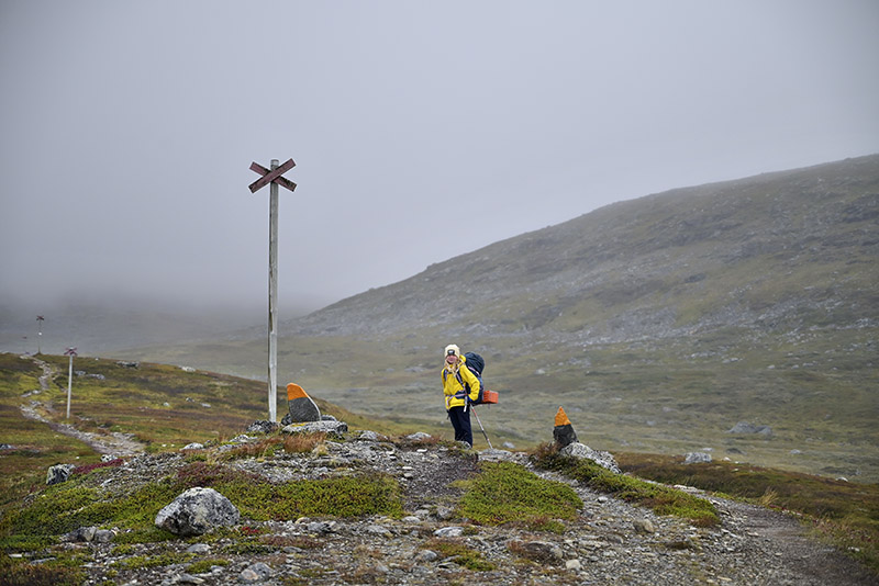 Ett barn i gul jacka med ryggsäck på ryggen står mellan två ledmarkeringar och vid ett grånat ledkryss i dimman längs Kungsleden.