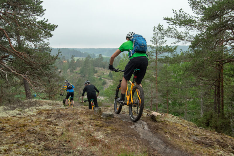 Tre cyklister på väg nedför en bergsknalle. I bakgrunden syns en skogbeklädd backe.