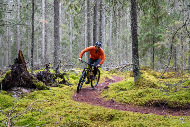 En man i orange jacka cyklar på en gul mountainbike på en stig i en skog omgiven av mossa och granstammar.