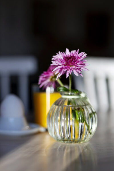 En glasvas med en purpurfärgad blomma.