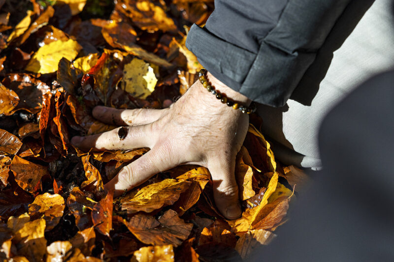 Närbild av en hand som greppar över en bädd av rödgula höstlöv.