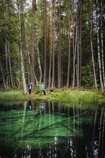 En damm omgiven av skog. Vattnet är klart och ser knallgrönt ut.